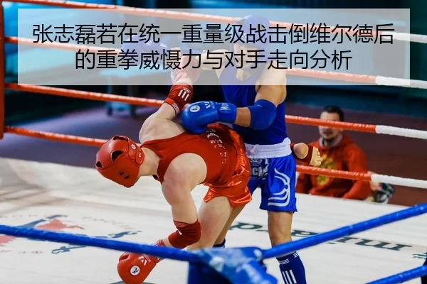 张志磊若在统一重量级战击倒维尔德后的重拳威慑力与对手走向分析