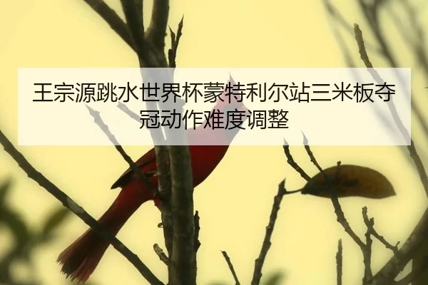 wang-zong-yuan-tiao-shui-shi-jie-bei-meng-te-li-er-zhan-san-mi-ban-duo-guan-dong-zuo-nan-du-tiao-zheng-2-567.jpg